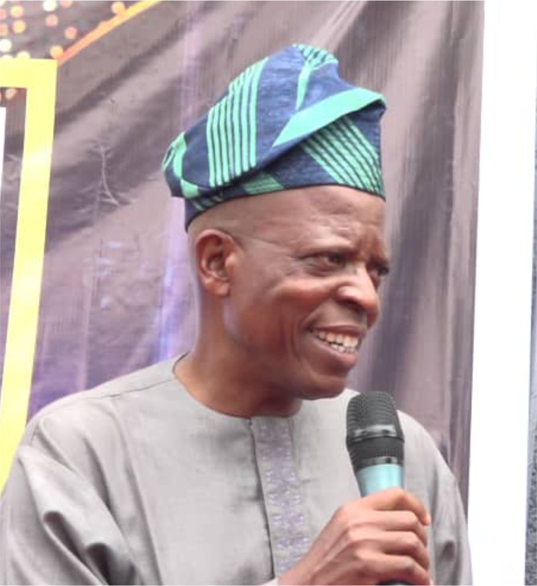 Portrait of Dr.Yemi Bamgbose